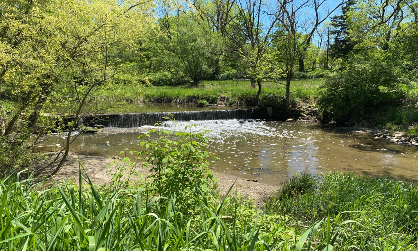 boldwin dam