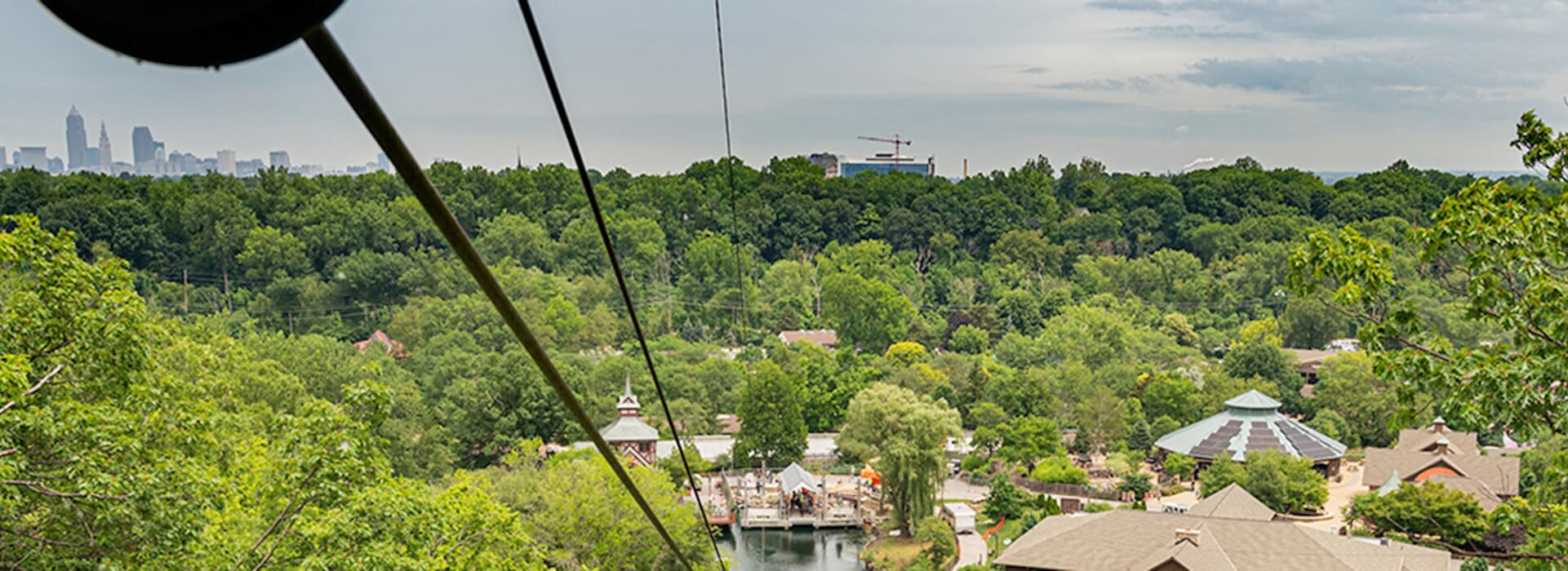 Zip line over the zoo