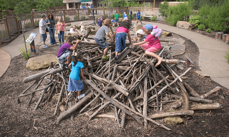 Kids climbing on a playground pile of sticks