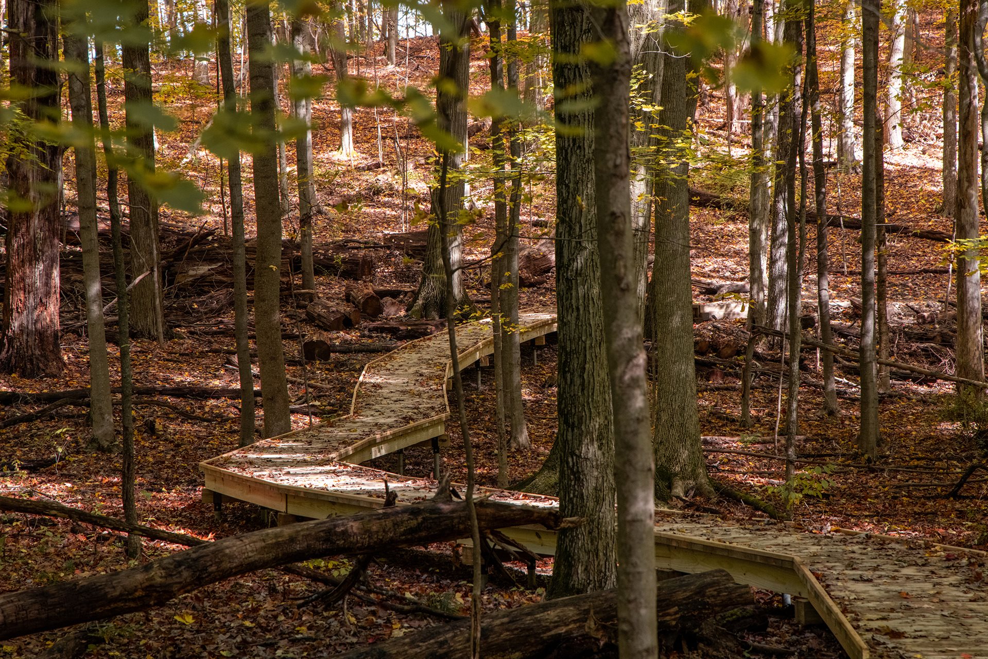 Approximately 2-miles of new natural surface trails offer spectacular views of Chippewa Creek Valley