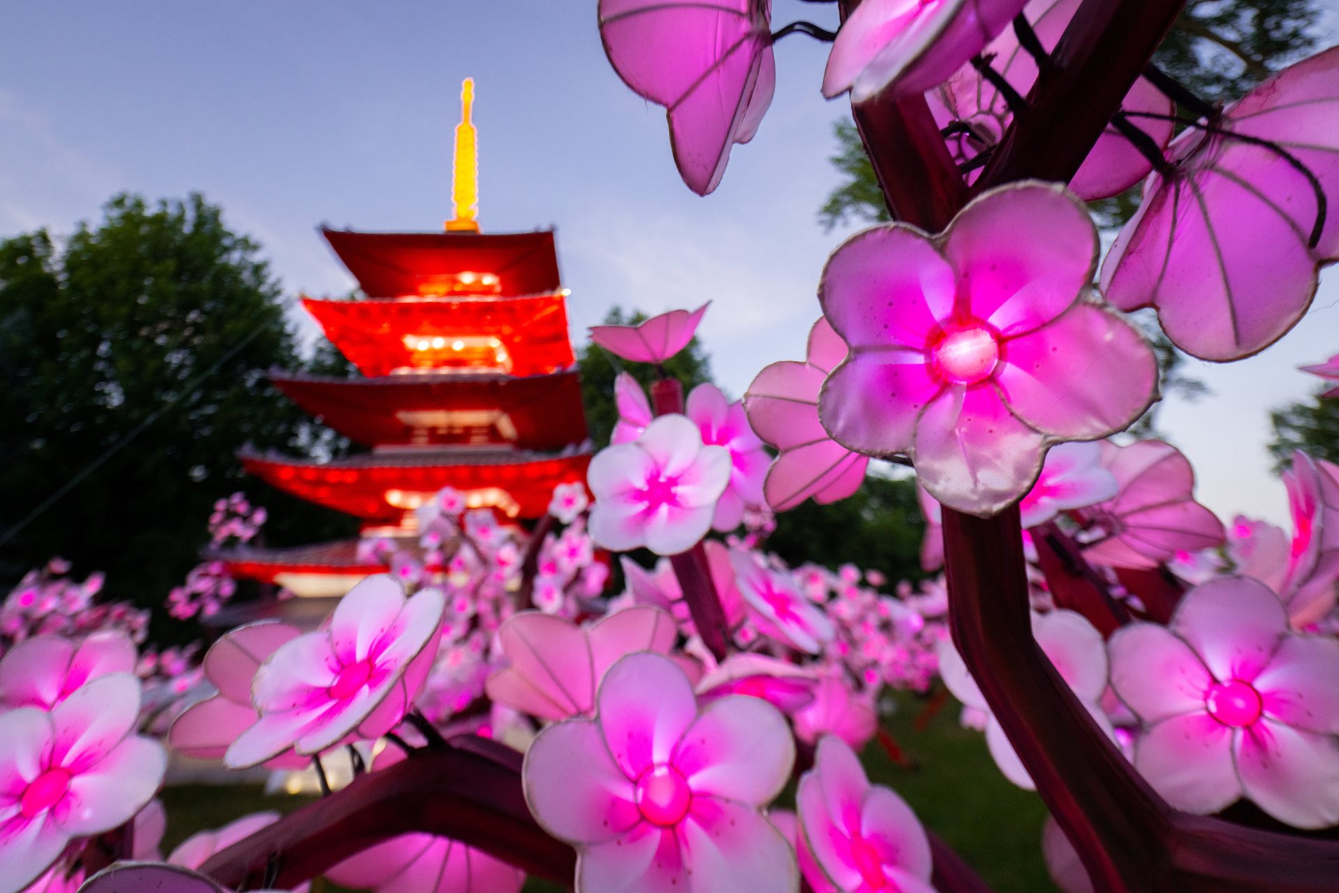 Experience the lanterns by bike with the return of Wild Ride September 15