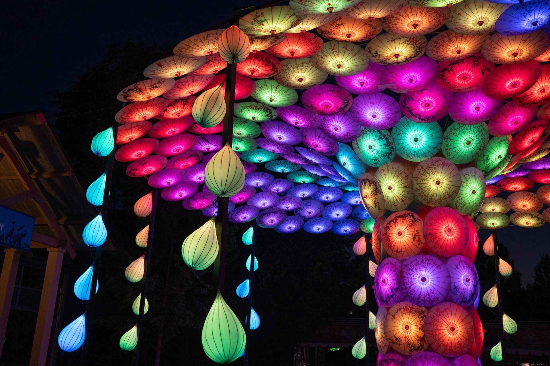 Colorful umbrellas forming a tree