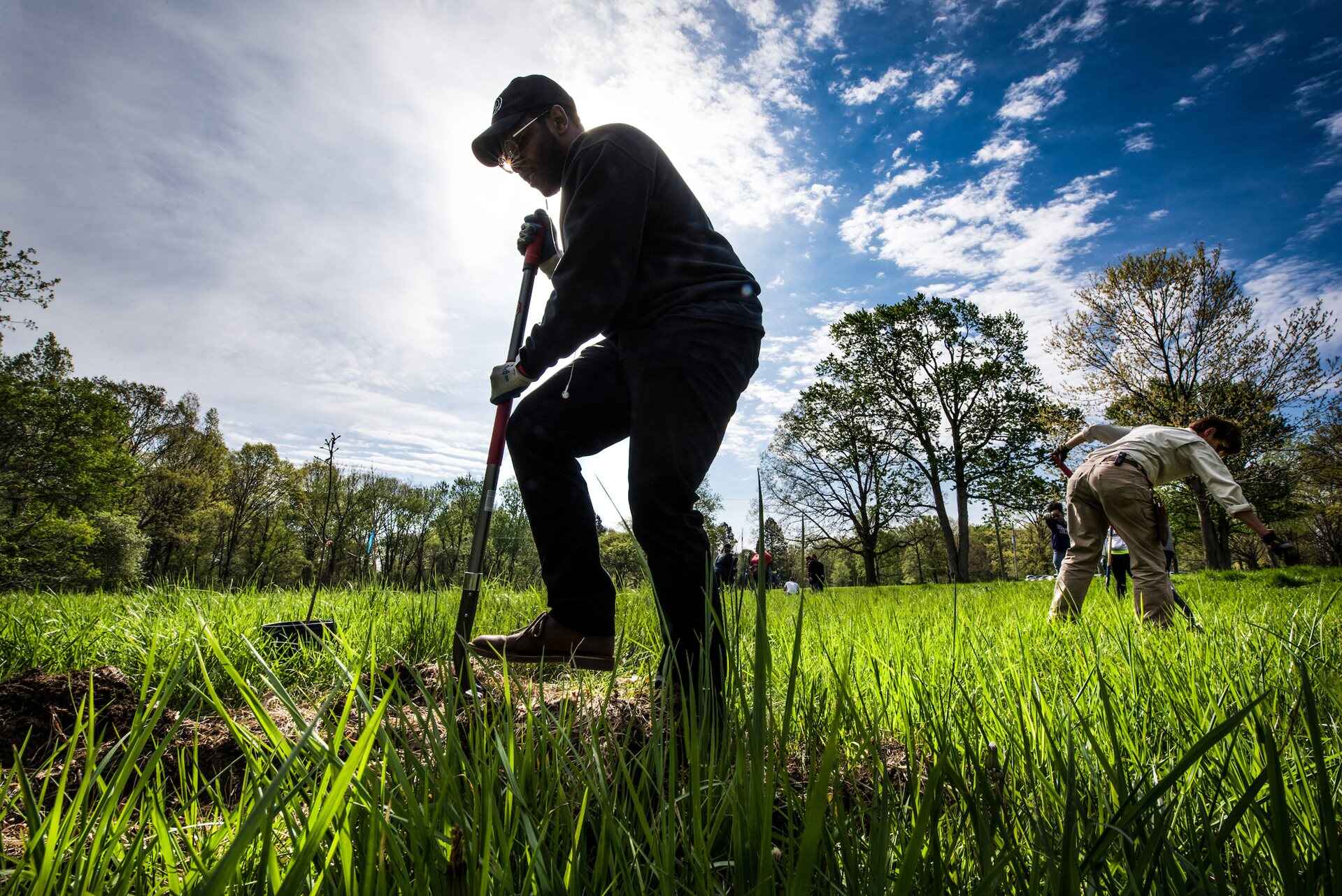 Park District Expects to Increase Tree Population by Nearly One Million Trees Over the Next 50 Years Through Research Funded by The Lubrizol Foundation