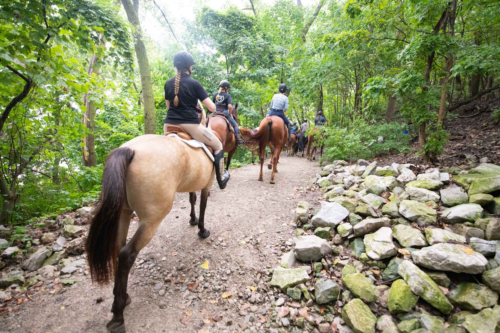 People riding horses