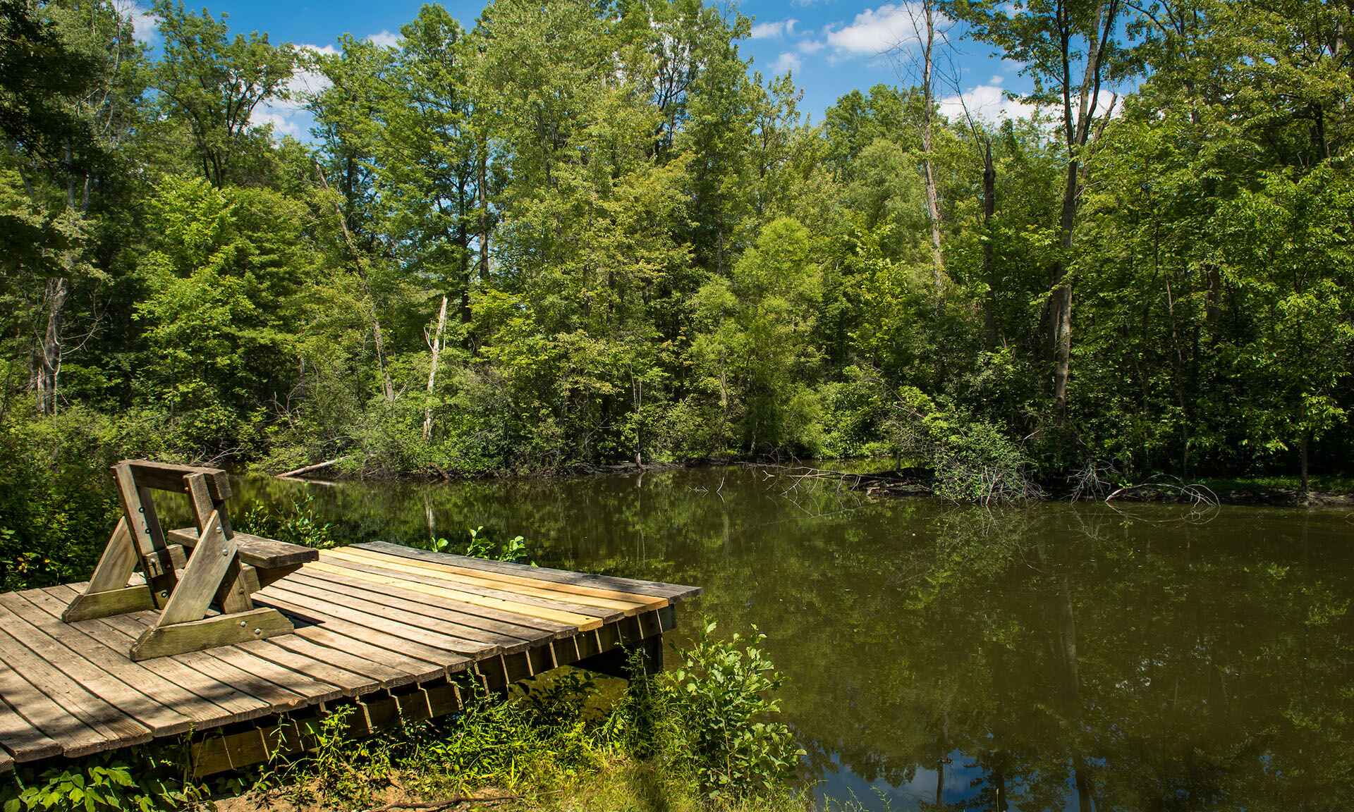 Bench by water