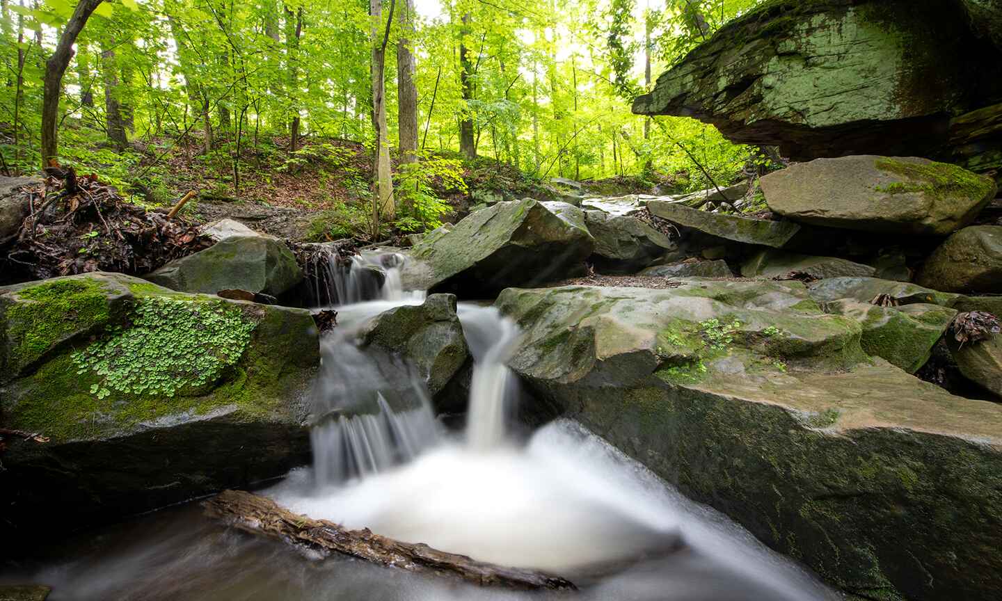 small waterfall with rocks and trees in the background