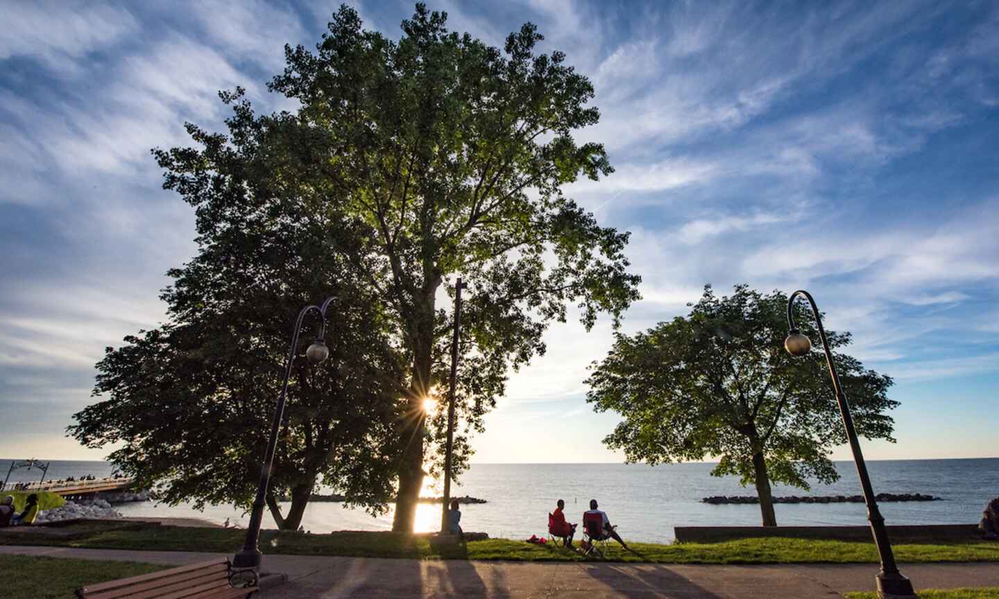 ocean sunset view with trees