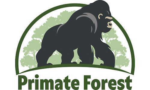 Primate Forest