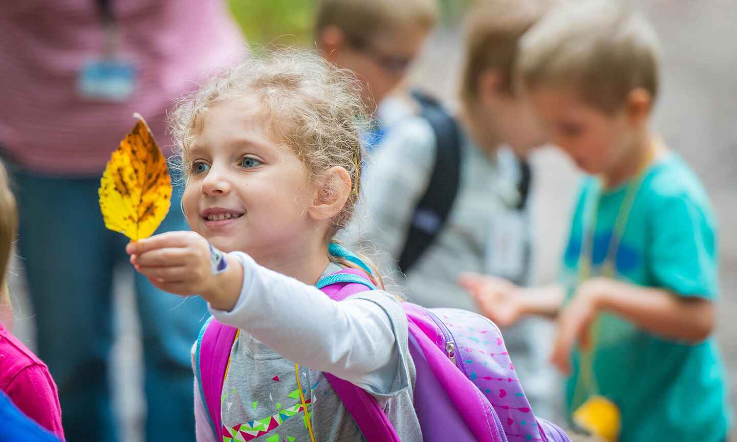 Child holding fall leaf