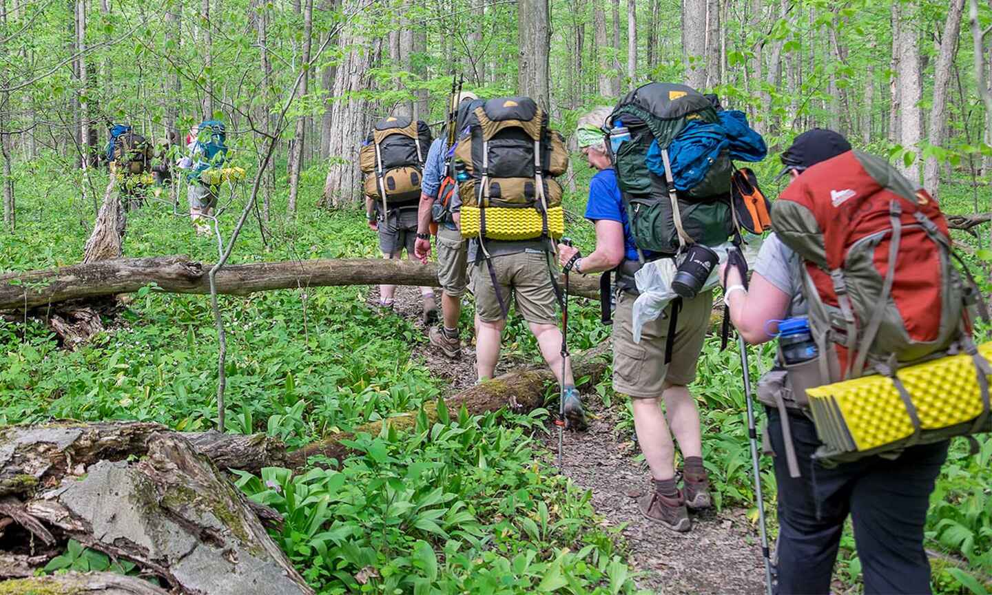 people backpacking in the forest