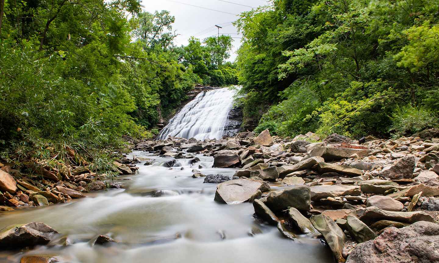 waterfall in the forest