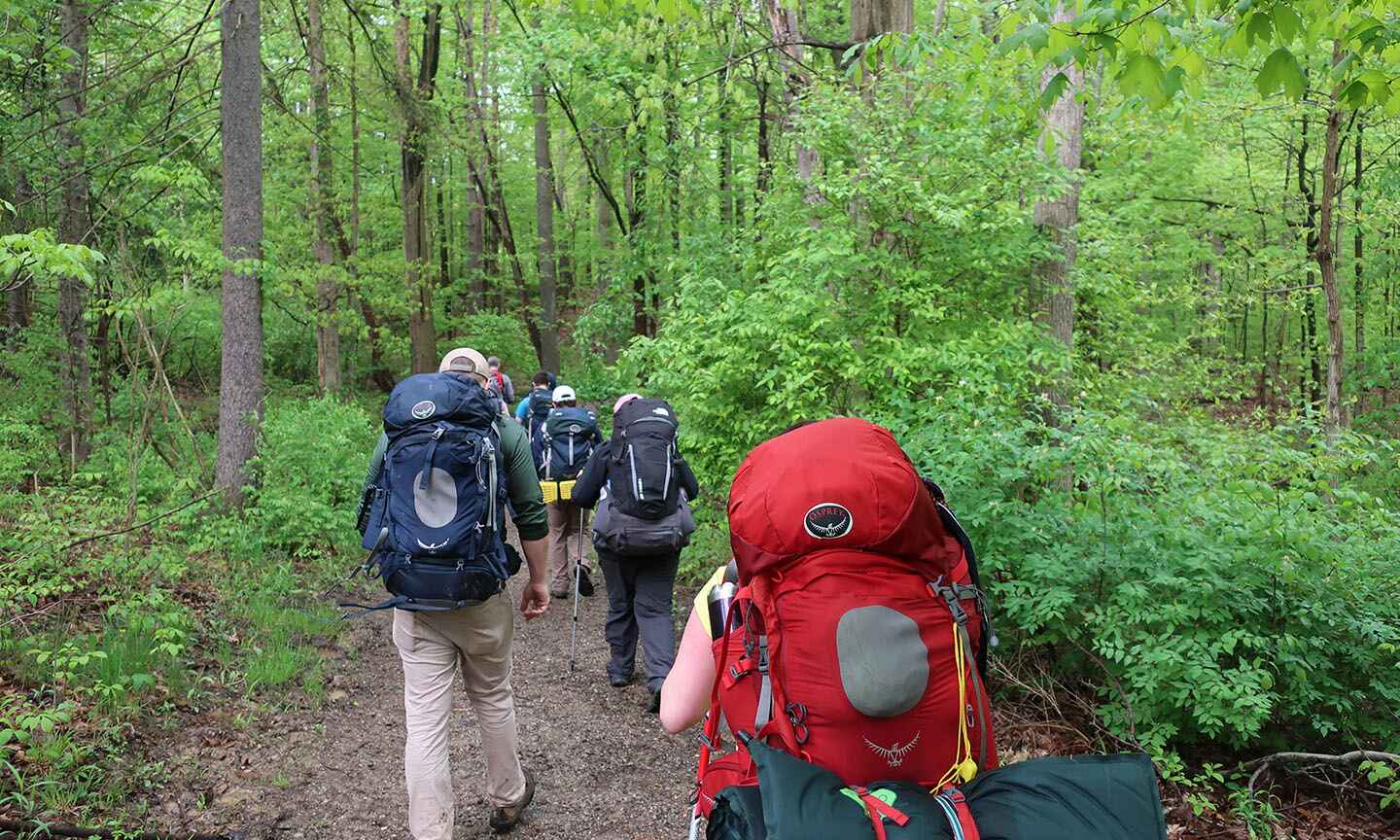 Backpackers hiking through the trees