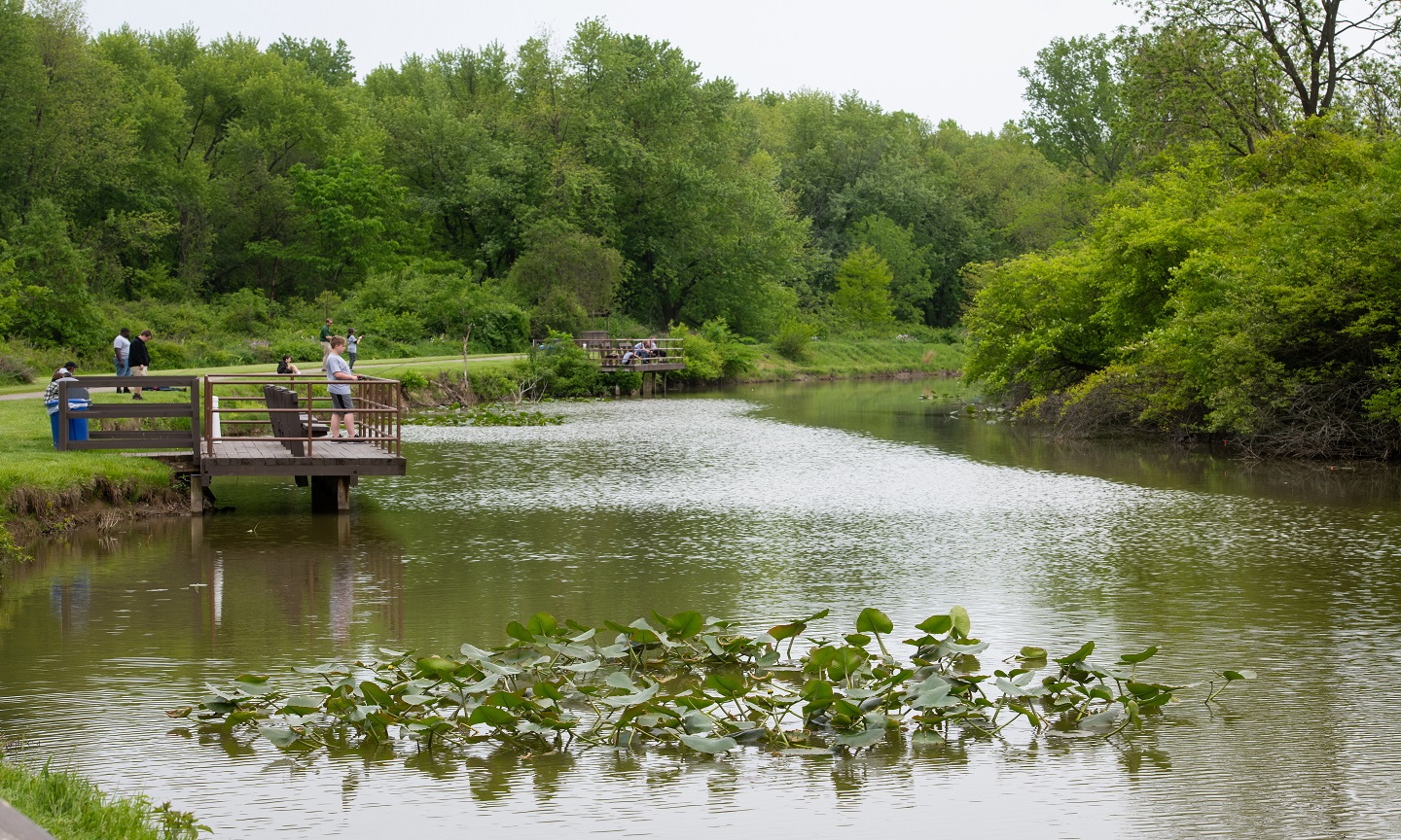 fishing