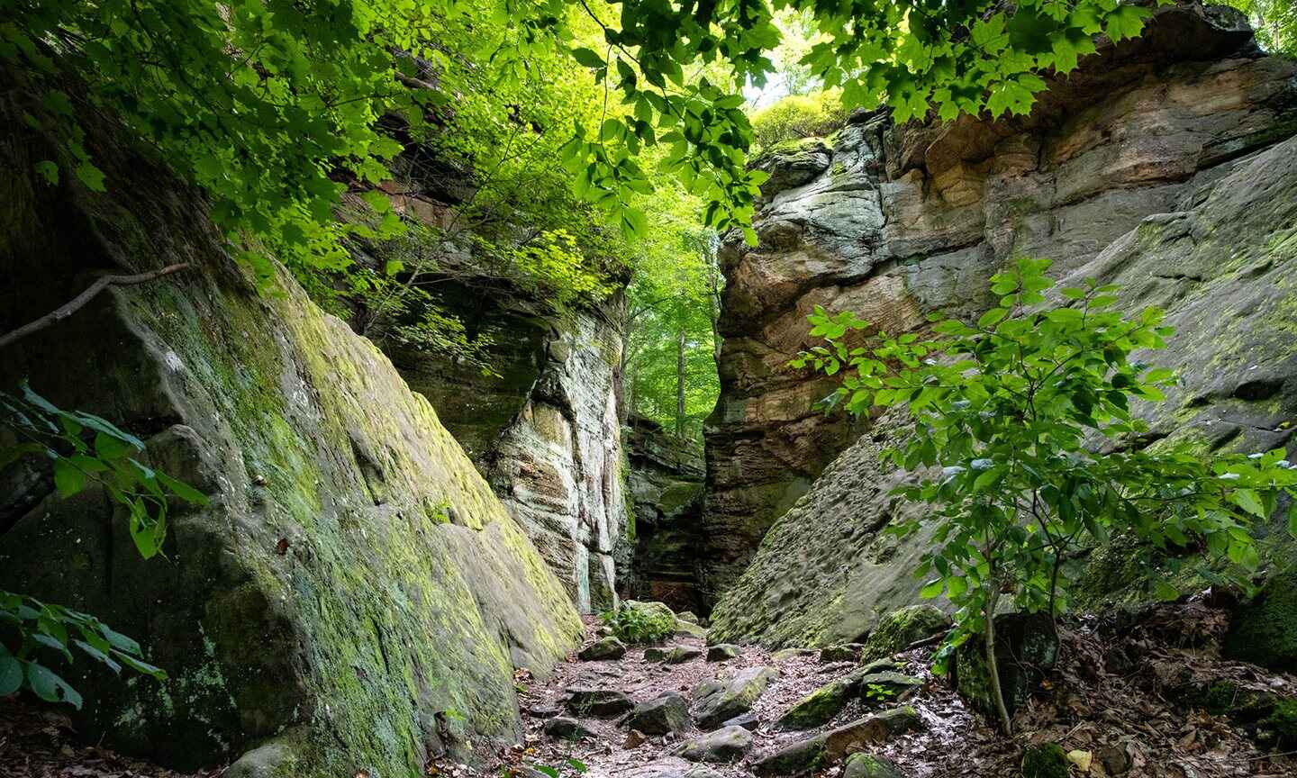 Whipps ledges hiking area