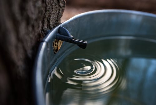 Water dripping into a bucket