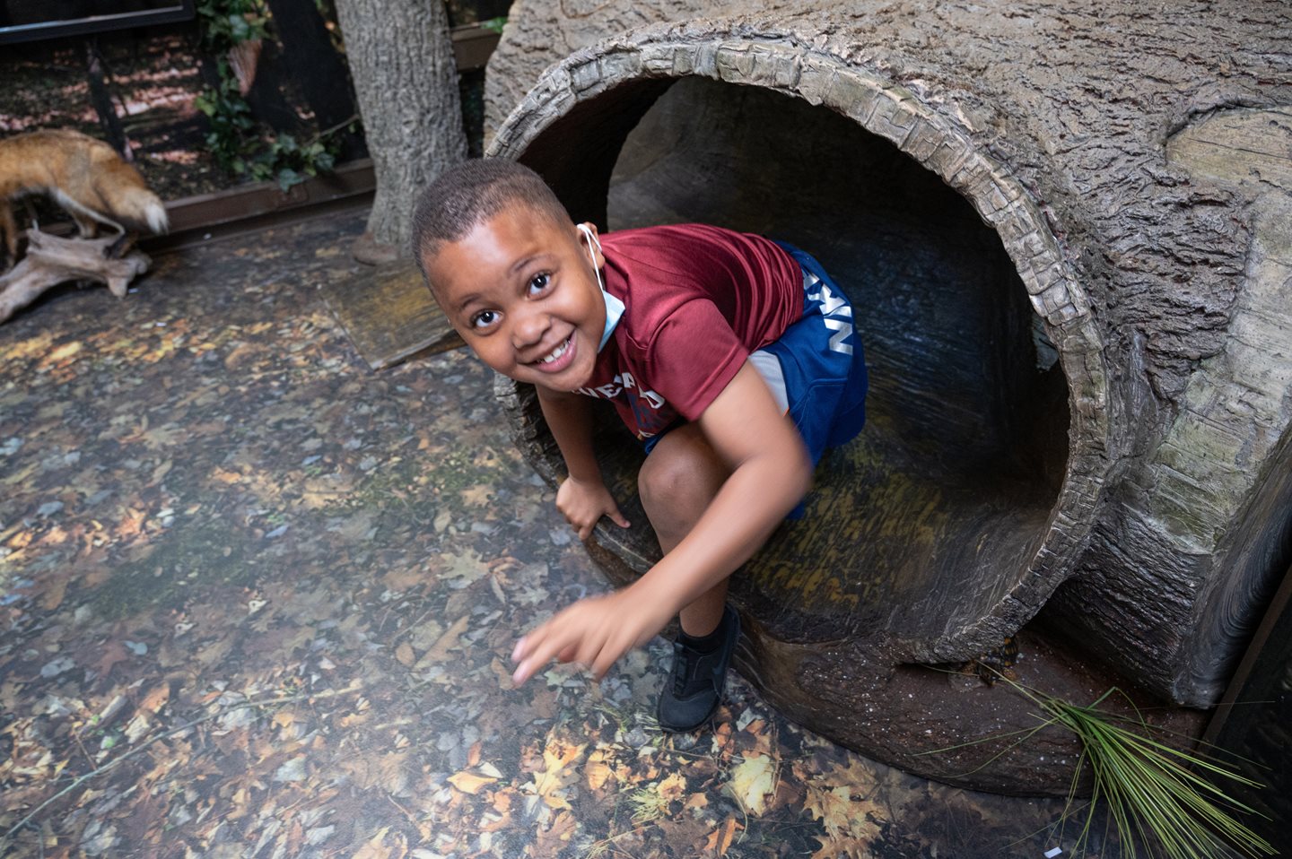 Boy smiling while climbing out of a tunnel