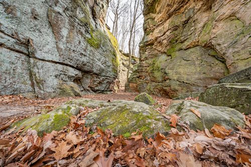 Rock piles within the forest