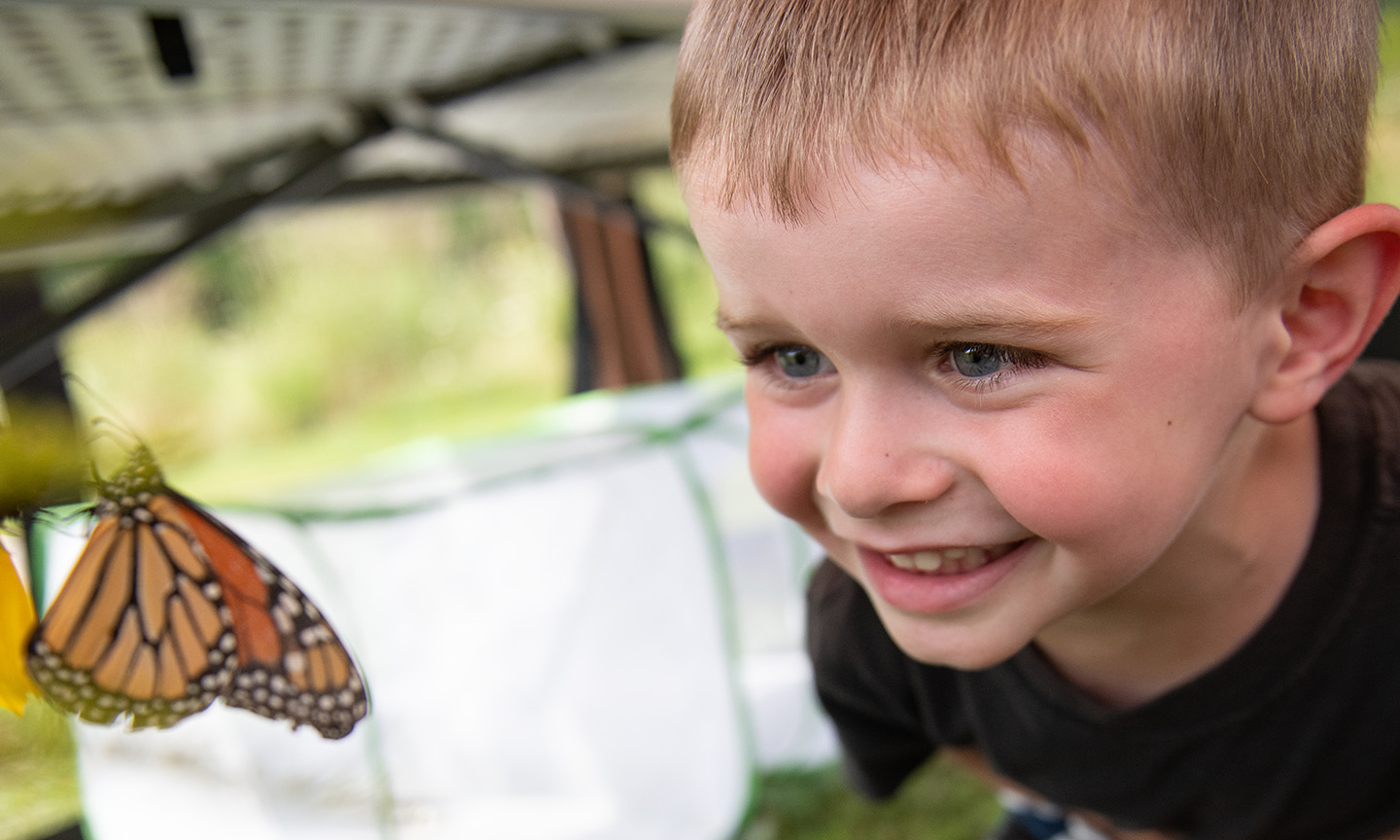 Child smiling at a butterfly