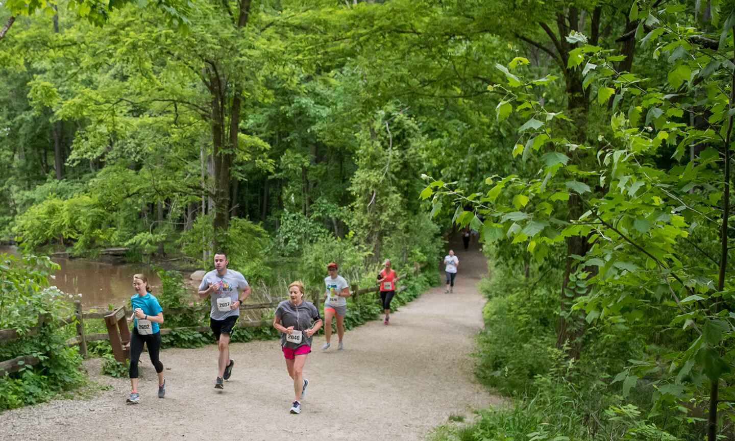 People running down a trail in a race