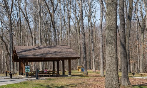 Egbert Picnic Area