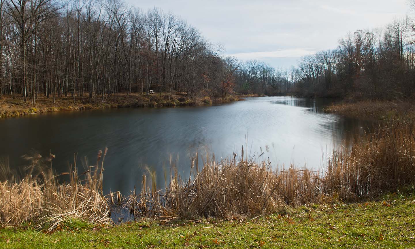 Beyer's Pond