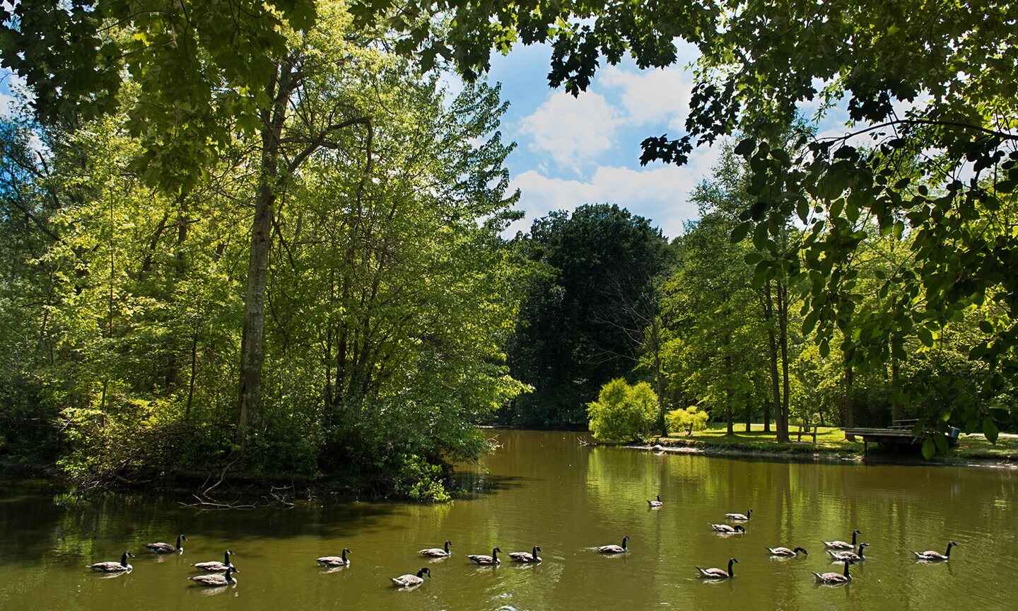 Bradley Woods Reservation