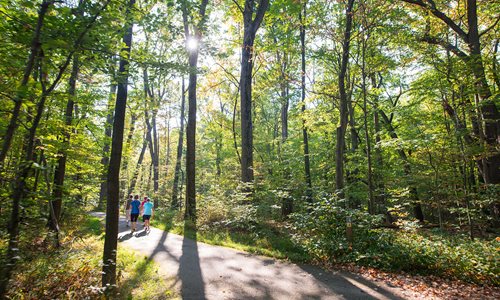 Meadows Trailhead