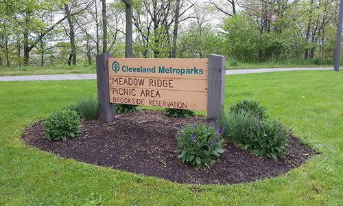 Meadow Ridge Picnic Area Trailhead