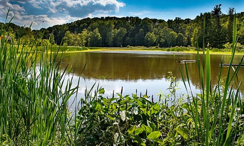 Strongsville Wildlife Area