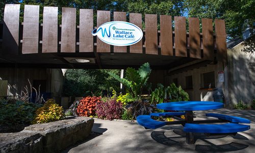 Picnic table in front of café