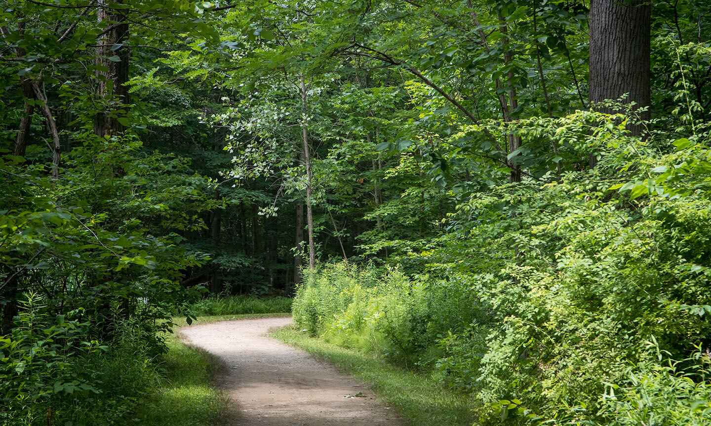 A.B. Williams Memorial Woods Trailhead