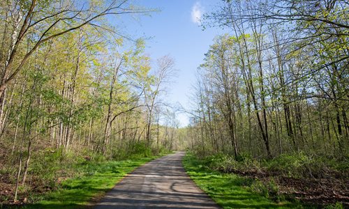 Wilson Mills Trailhead