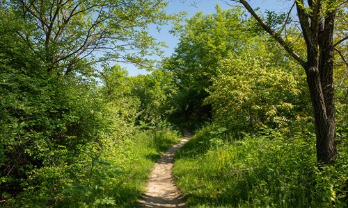 Ohio and Erie Canal Mountain Bike Trailhead