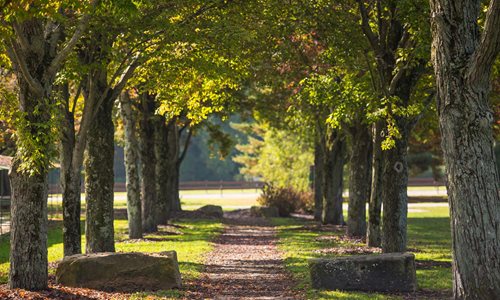 Polo Field Trailhead