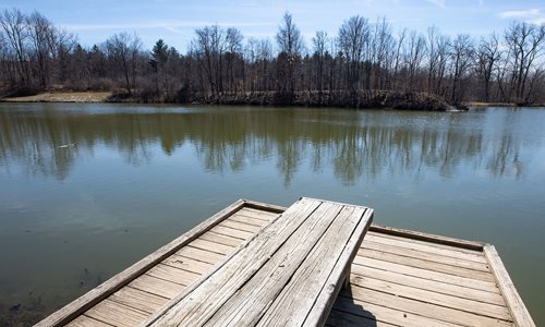 Shadow Lake