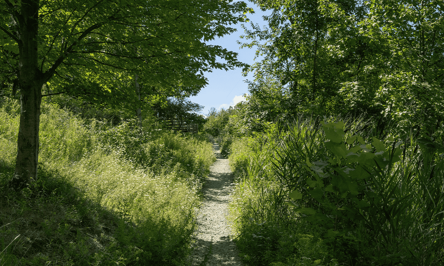 Skinners Run Trailhead at Dentzler Road