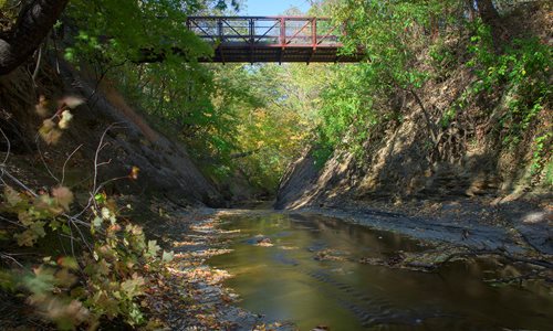 Grassroots Gorge Overlook