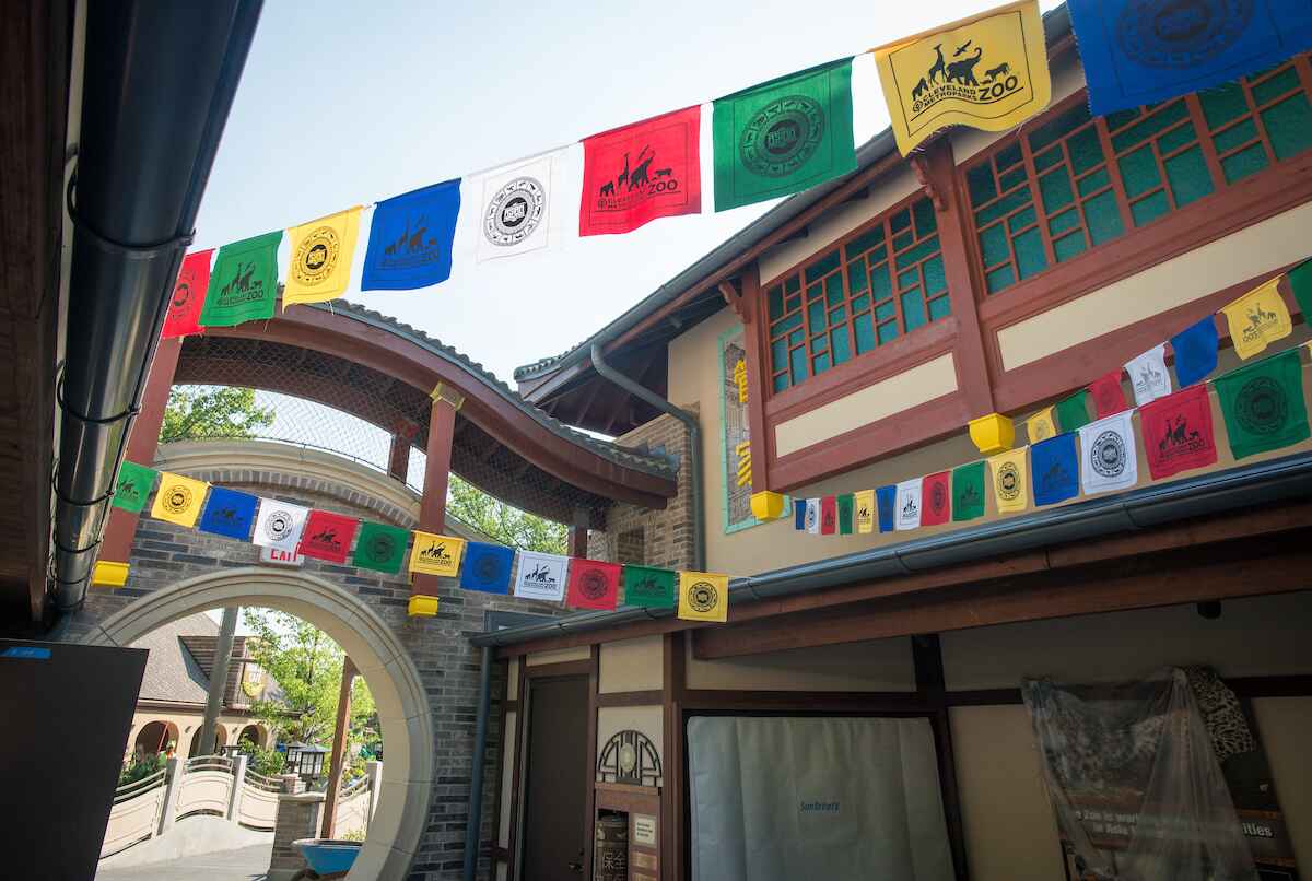 A walkway with colorful flags