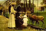 People-Feeding-Deer-in-1911.jpg