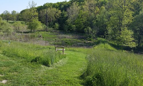 WCR-Greathouse-Wetlands.jpg