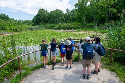 outdoor experiences at our park