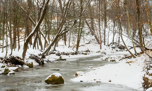 Winter-creek.jpg