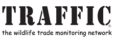 traffic the wildlife trade monitoring network