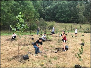 Volunteers-planting-trees.jpg