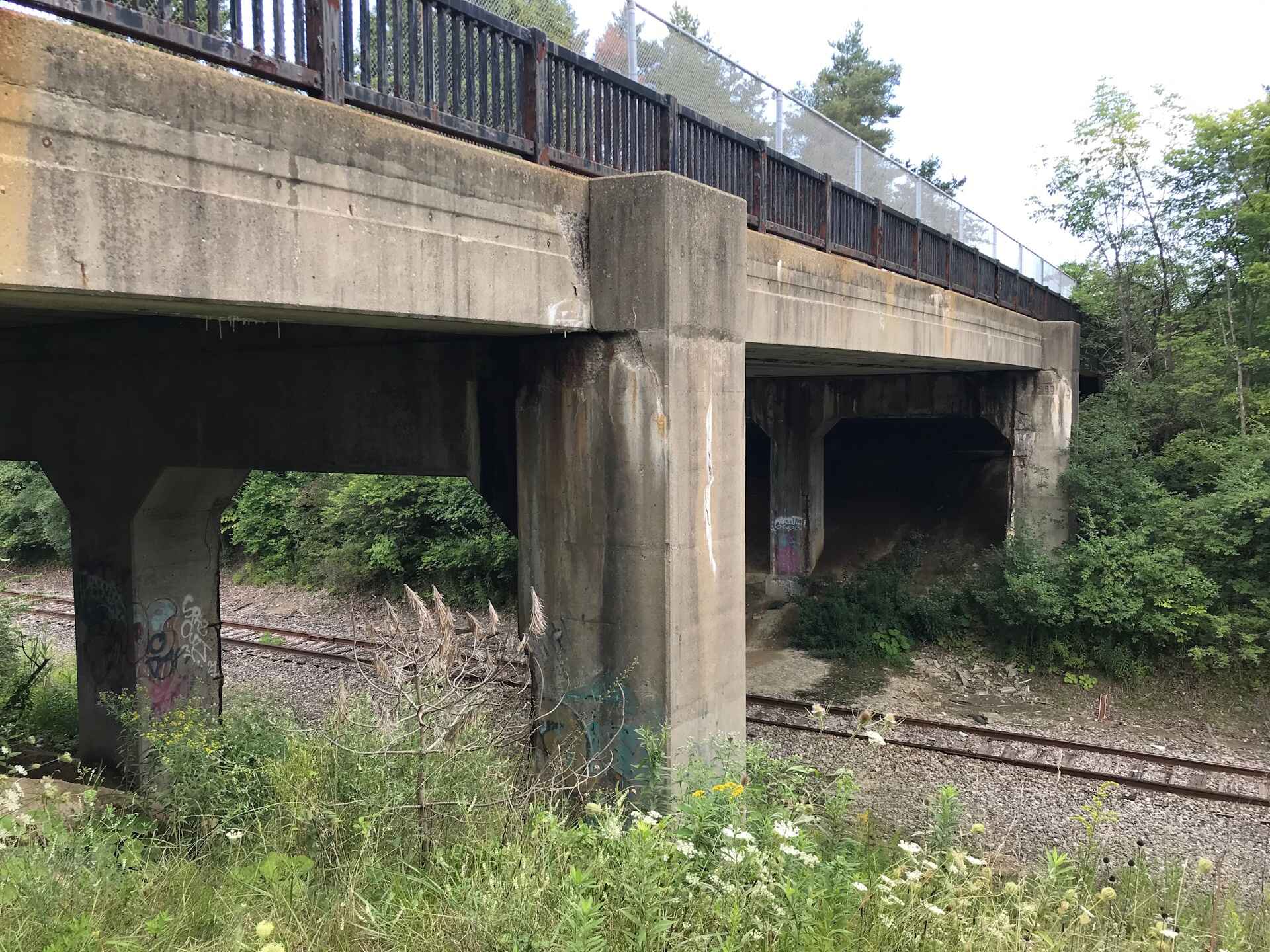 Hawthorn-Bridge_Ex-Bridge-Piers.jpg