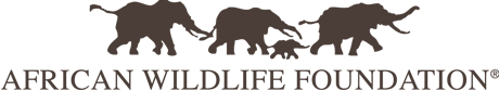 african wild life foundation