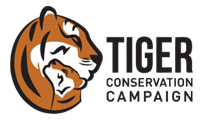 tiger conservation campaign